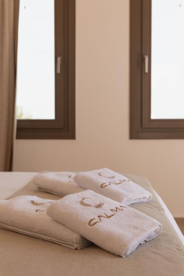 Calma Mykonos Apartment Psarrou