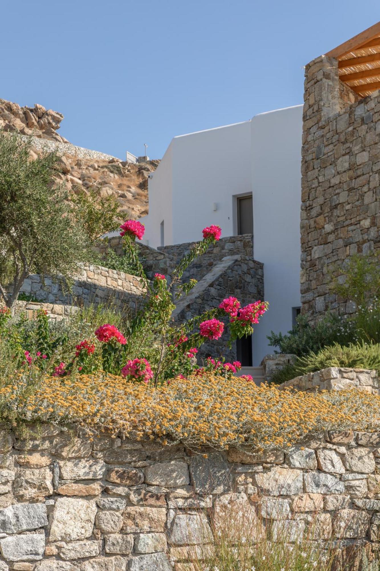 Apartment Calma Mykonos *
